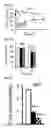 Fig. 03 - MUTATED FIBROBLAST GROWTH FACTOR (FGF) 1 AND METHODS OF USE