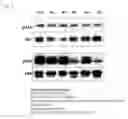 Fig. 16 - MUTATED FIBROBLAST GROWTH FACTOR (FGF) 1 AND METHODS OF USE