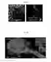 Fig. 08 - Compositions, kits, and methods using interleukin-17C to promote neural growth and/or neural survival