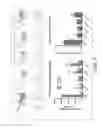 Fig. 06 - Peptides comprising non-natural amino acids and methods of making and using the same