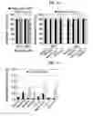 Fig. 04 - Peptide for promoting bone formation or inhibiting bone resorption and use thereof