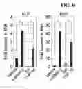 Fig. 14 - Peptide for promoting bone formation or inhibiting bone resorption and use thereof