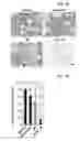 Fig. 15 - Peptide for promoting bone formation or inhibiting bone resorption and use thereof