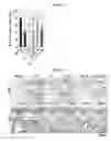 Fig. 24 - Peptide for promoting bone formation or inhibiting bone resorption and use thereof