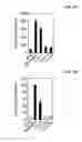 Fig. 29 - Peptide for promoting bone formation or inhibiting bone resorption and use thereof