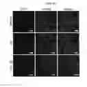 Fig. 34 - Peptide for promoting bone formation or inhibiting bone resorption and use thereof