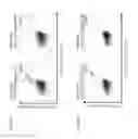 Fig. 16 - Immunotherapy against melanoma and other cancers