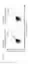 Fig. 17 - Immunotherapy against melanoma and other cancers