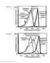 Fig. 03 - IMMUNOGENIC COMPOSITIONS AND EXPRESSION SYSTEMS