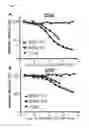 Fig. 08 - IMMUNOGENIC COMPOSITIONS AND EXPRESSION SYSTEMS