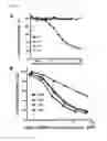 Fig. 09 - IMMUNOGENIC COMPOSITIONS AND EXPRESSION SYSTEMS