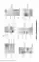 Fig. 06 - Targets of 
