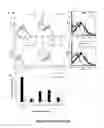 Fig. 08 - Targets of 