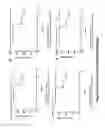 Fig. 13 - Targets of 