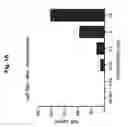 Fig. 02 - NOVEL MUCOSAL VACCINATION APPROACH FOR HERPES SIMPLEX VIRUS TYPE-2