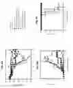 Fig. 14 - NOVEL MUCOSAL VACCINATION APPROACH FOR HERPES SIMPLEX VIRUS TYPE-2