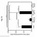 Fig. 28 - NOVEL MUCOSAL VACCINATION APPROACH FOR HERPES SIMPLEX VIRUS TYPE-2
