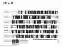 Fig. 10 - AntiPlexin A1 agonist antibody