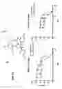 Fig. 63 - COMPOSITIONS AND METHODS FOR TREATING SENESCENCE-ASSOCIATED DISEASES AND DISORDERS