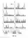 Fig. 76 - COMPOSITIONS AND METHODS FOR TREATING SENESCENCE-ASSOCIATED DISEASES AND DISORDERS