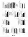 Fig. 77 - COMPOSITIONS AND METHODS FOR TREATING SENESCENCE-ASSOCIATED DISEASES AND DISORDERS