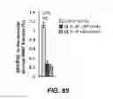 Fig. 87 - COMPOSITIONS AND METHODS FOR TREATING SENESCENCE-ASSOCIATED DISEASES AND DISORDERS