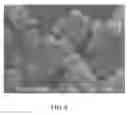 Fig. 06 - STARCH-BASED MICROPARTICLES FOR THE RELEASE OF AGENTS DISPOSED THEREIN