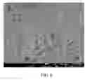 Fig. 08 - STARCH-BASED MICROPARTICLES FOR THE RELEASE OF AGENTS DISPOSED THEREIN