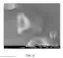 Fig. 09 - STARCH-BASED MICROPARTICLES FOR THE RELEASE OF AGENTS DISPOSED THEREIN