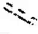 Fig. 04 - EGFR proteolysis targeting chimeric molecules and associated methods of use