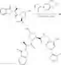 Fig. 686 - EGFR proteolysis targeting chimeric molecules and associated methods of use