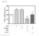Fig. 09 - Gene/carrier complex for preventing or treating inflammatory diseases