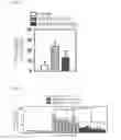 Fig. 16 - Gene/carrier complex for preventing or treating inflammatory diseases