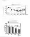 Fig. 19 - Gene/carrier complex for preventing or treating inflammatory diseases
