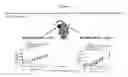 Fig. 10 - CKIT antibody drug conjugates