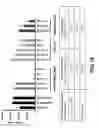 Fig. 23 - Drug-conjugated bi-specific antigen-binding constructs