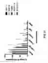 Fig. 24 - Drug-conjugated bi-specific antigen-binding constructs