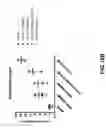 Fig. 26 - Drug-conjugated bi-specific antigen-binding constructs