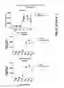 Fig. 41 - Drug-conjugated bi-specific antigen-binding constructs