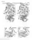 Fig. 08 - Meditopes and meditope-binding antibodies and uses thereof
