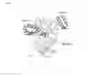 Fig. 09 - Meditopes and meditope-binding antibodies and uses thereof