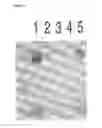 Fig. 12 - Meditopes and meditope-binding antibodies and uses thereof