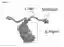 Fig. 19 - Meditopes and meditope-binding antibodies and uses thereof