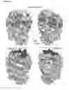Fig. 24 - Meditopes and meditope-binding antibodies and uses thereof