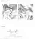 Fig. 41 - Meditopes and meditope-binding antibodies and uses thereof