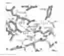 Fig. 42 - Meditopes and meditope-binding antibodies and uses thereof