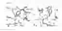 Fig. 43 - Meditopes and meditope-binding antibodies and uses thereof