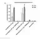 Fig. 01 - PATTERNED DOSING OF IMMUNOSUPPRESSANTS COUPLED TO SYNTHETIC NANOCARRIERS