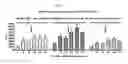 Fig. 10 - PATTERNED DOSING OF IMMUNOSUPPRESSANTS COUPLED TO SYNTHETIC NANOCARRIERS