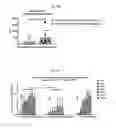 Fig. 16 - PATTERNED DOSING OF IMMUNOSUPPRESSANTS COUPLED TO SYNTHETIC NANOCARRIERS